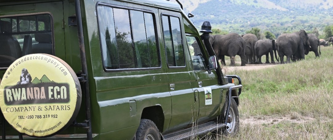 Custom private Rwanda Safaris