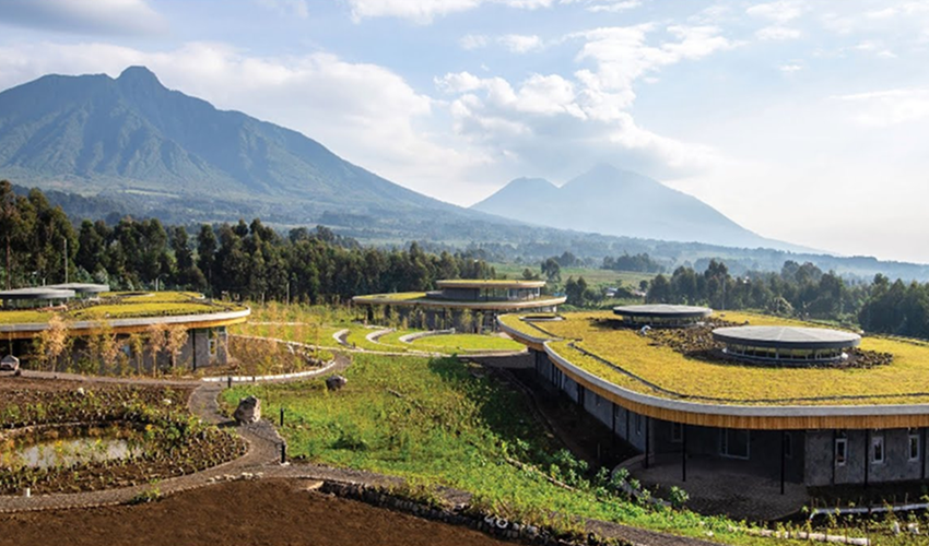 A visit to the Ellen DeGeneres Gorilla Campus in Musanze