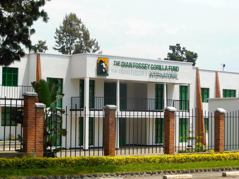 Dian Fossey Research Center