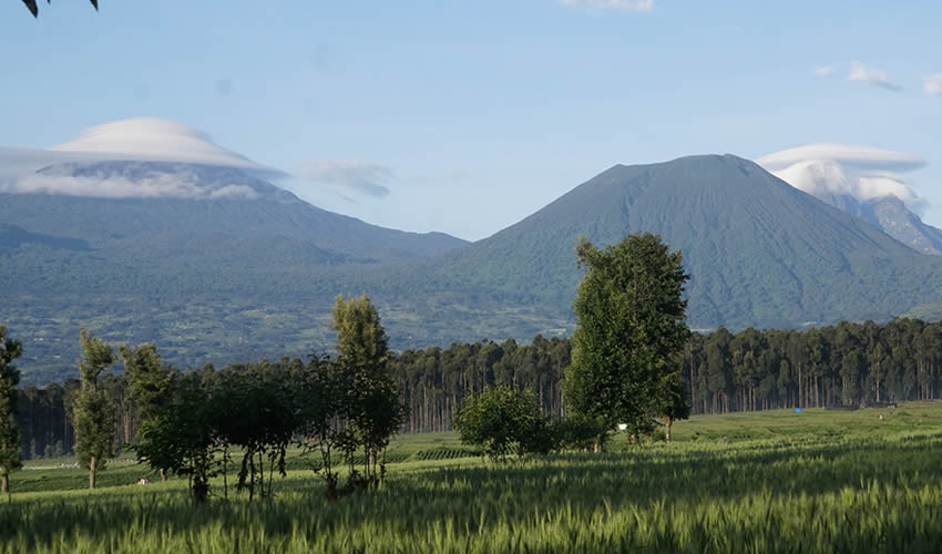 The Five Volcano Mountains in Rwanda