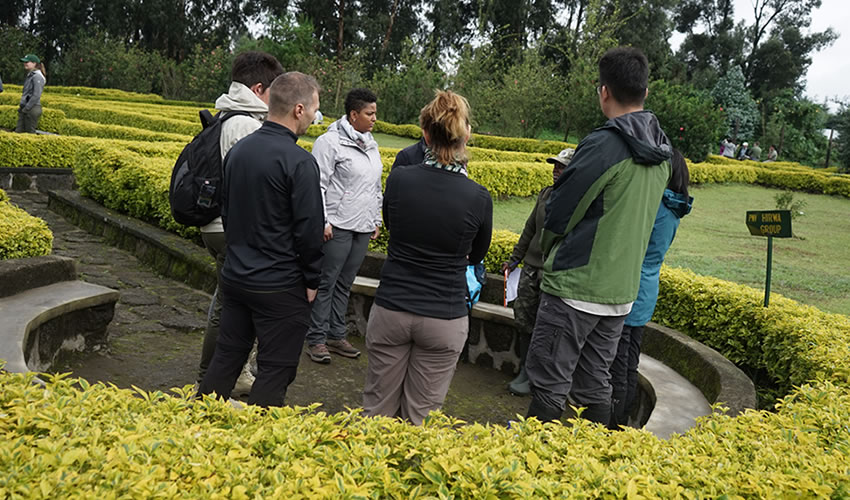 Gorilla Trekking Procedure | Rwanda Eco Company and Safaris