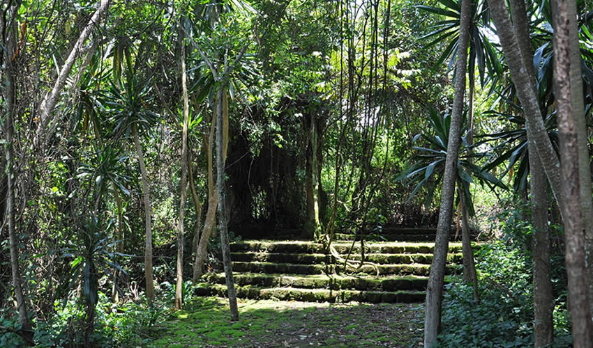 Buhanga Eco Park in Rwanda