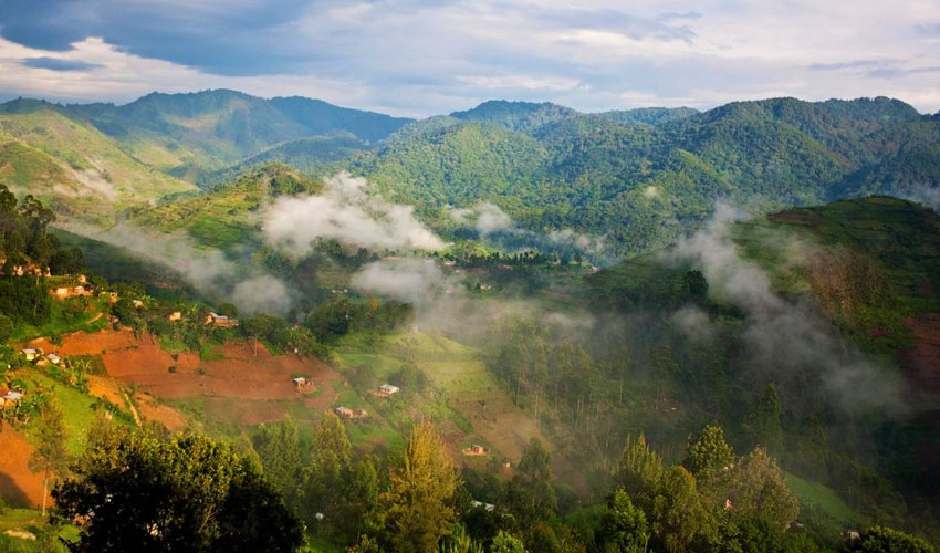 Bwindi Impenetrable Forest National Park Tourist Attractions