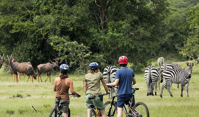 Cycling Safari in Lake Mburo National Park