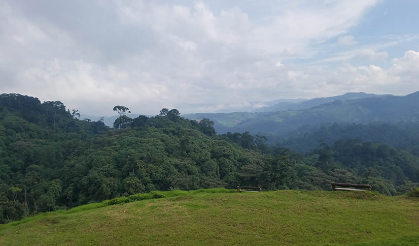Gishwati Mukura National Park