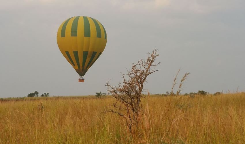 Hot Air Balloon Safari at Murchison Falls National Park