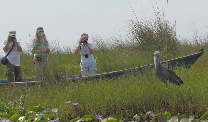 Tourist Activities and What to do Around Entebbe Town