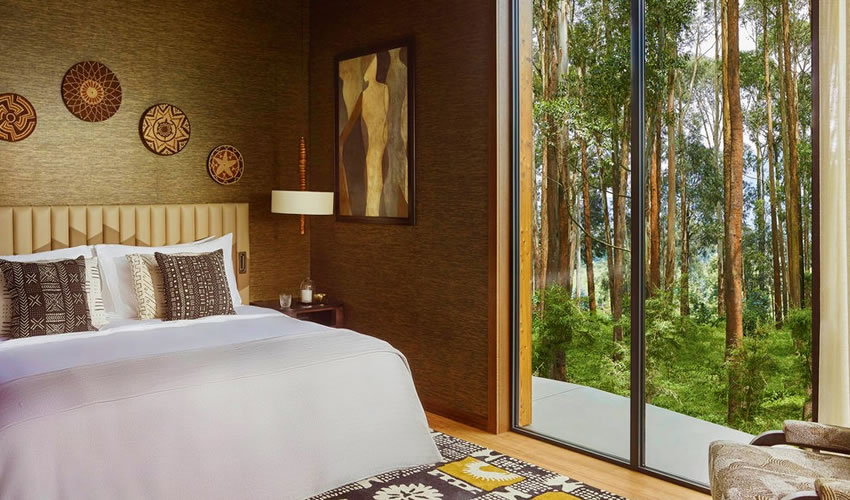 Top 5 Safari Lodges in Volcanoes National Park