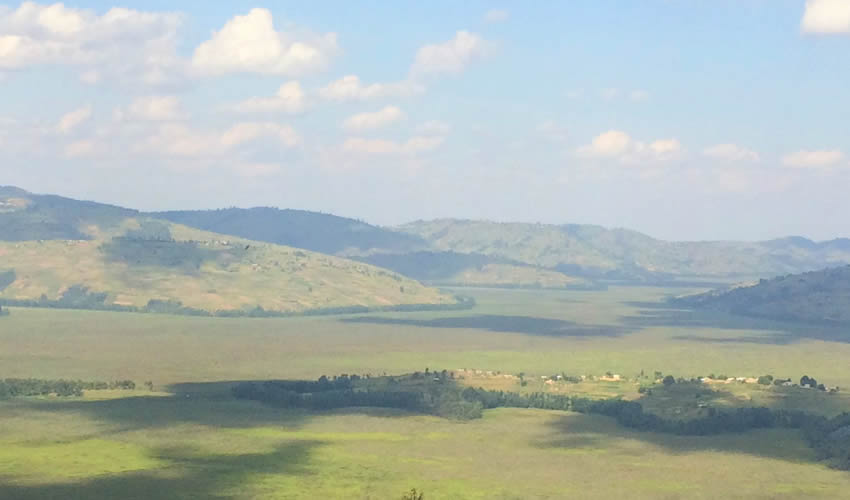 Rugezi Swamp in Rwanda