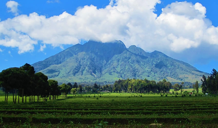 A Fascinating Behind The Scenes Look at Rwanda
