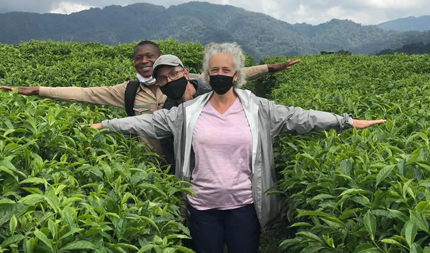 Tea Plantation Tour Experience in Rwanda