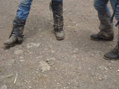 An Amazing 2 Day’s Gorilla Safari to Share