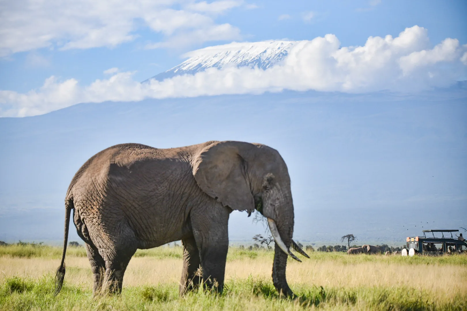 Amboseli National Park, Kenya