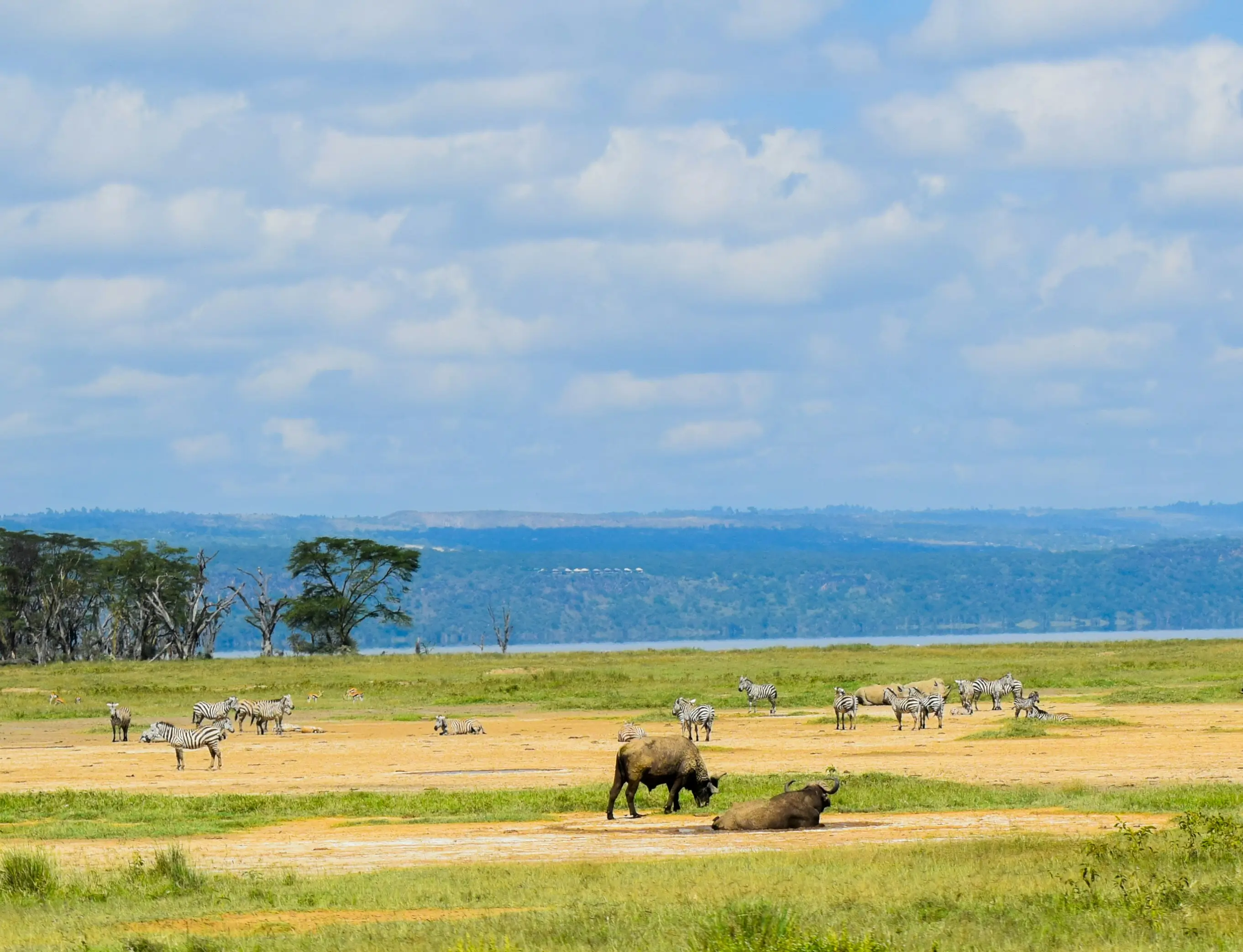 Lake Nakuru National Park, Kenya
