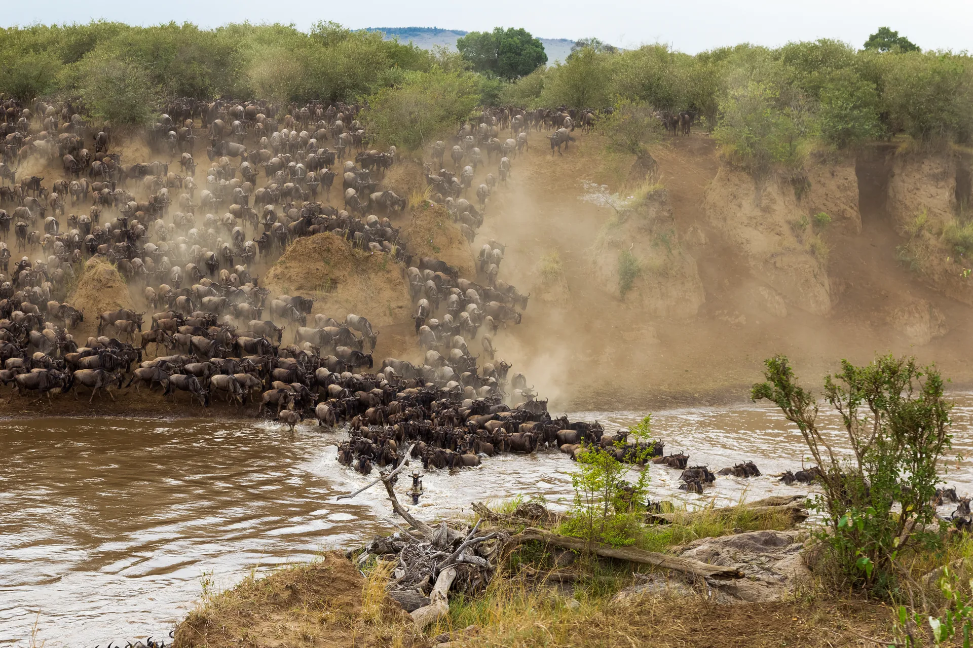 Serengeti National Park, Tanzania