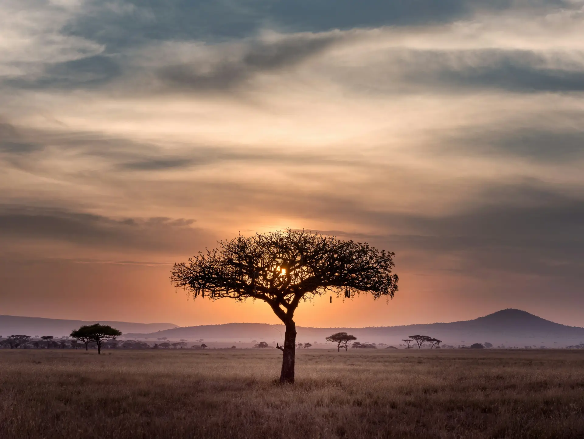 Tarangire National Park, Tanzania