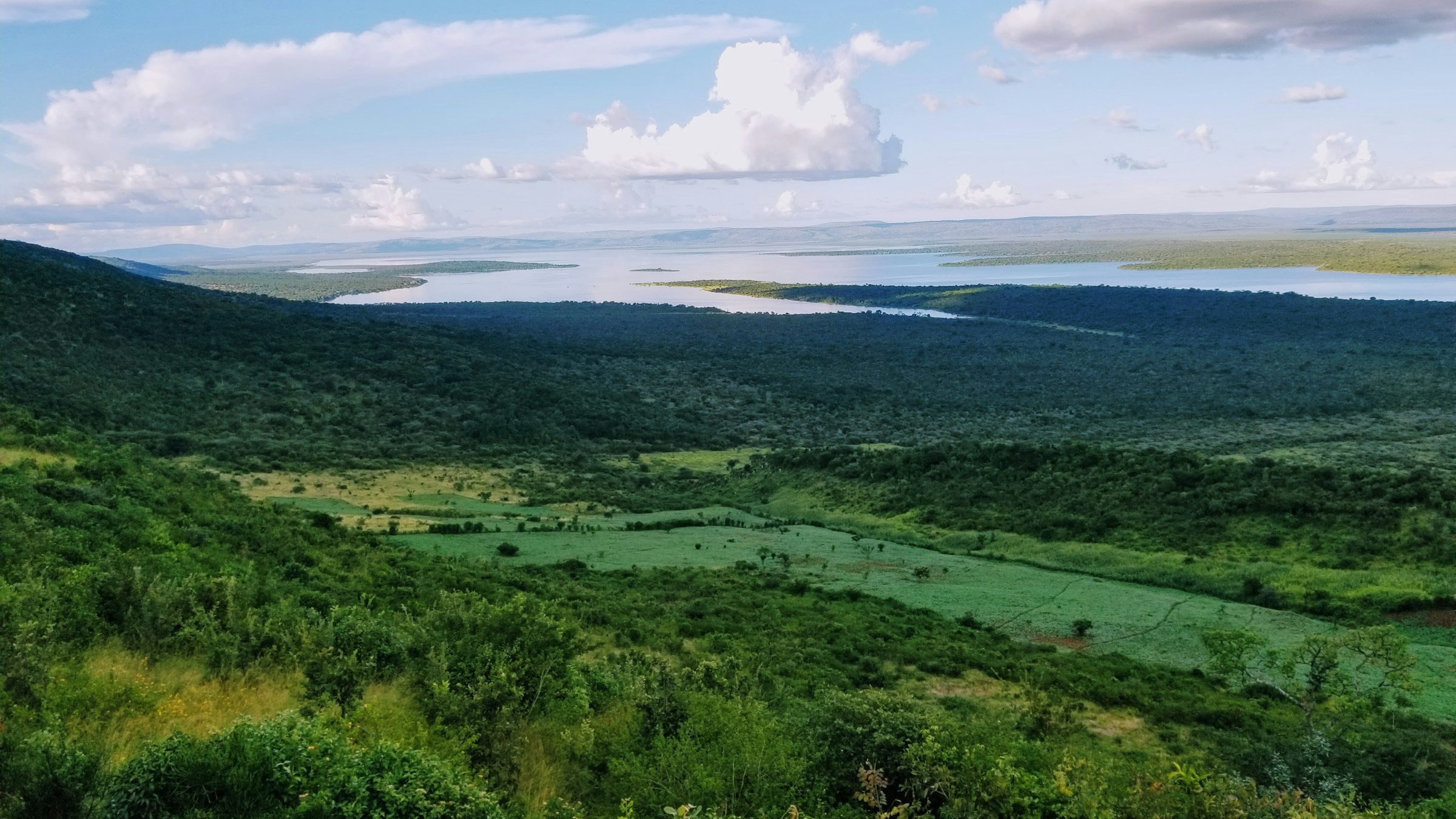 Rwanda Gorilla Trekking Packages: 2026 Options & Prices Compared