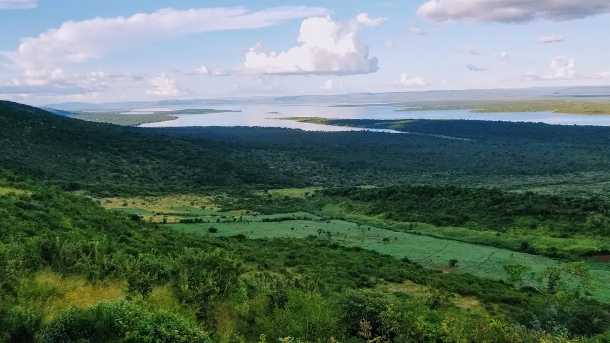 Virunga volcanoes and Rwandan hills