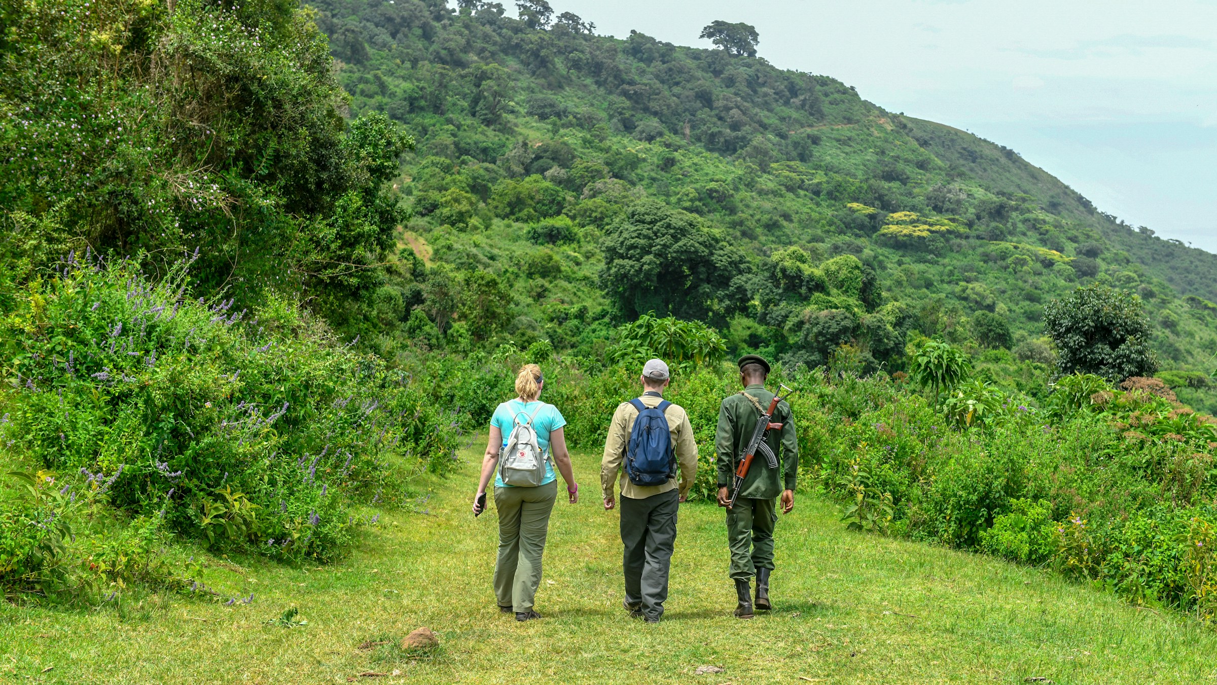 How to Book Gorilla Permits in Rwanda (Step-by-Step Guide)