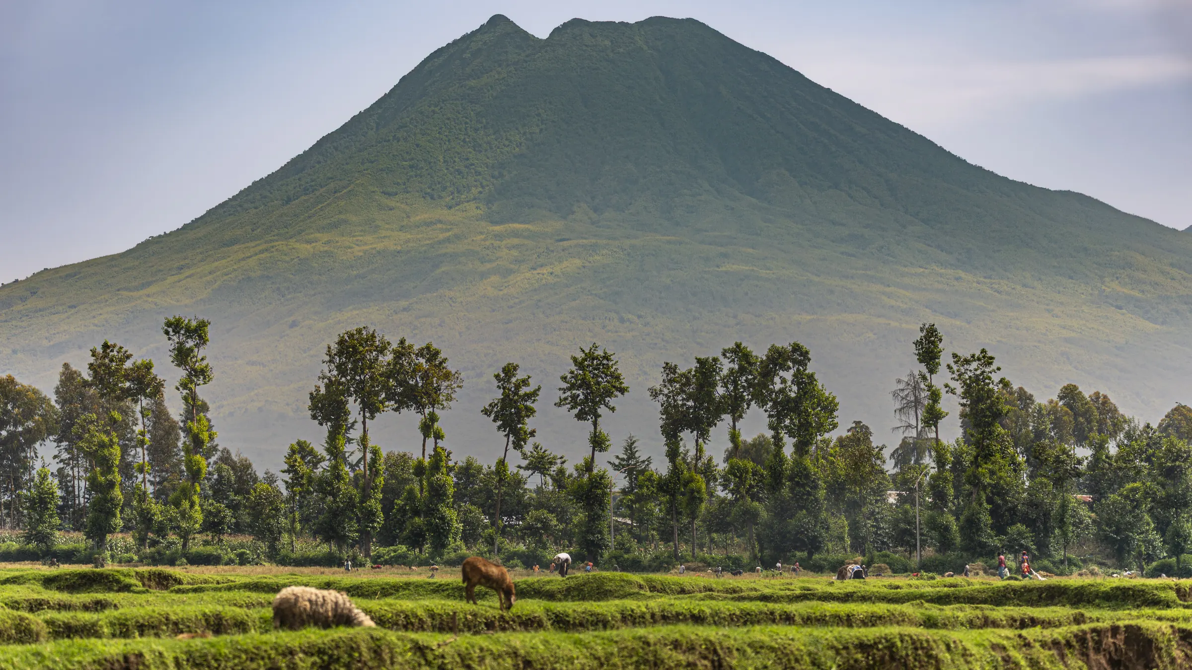 Volcanic peaks of Volcanoes National Park, Rwanda