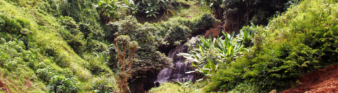 Congo Travel Requirements