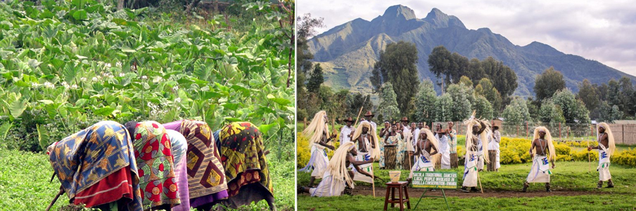 Cultural Encounters Around Volcanoes National Park Rwanda