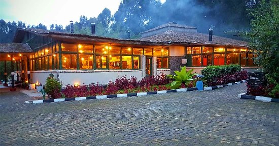 Le Bambou Gorilla Lodge
