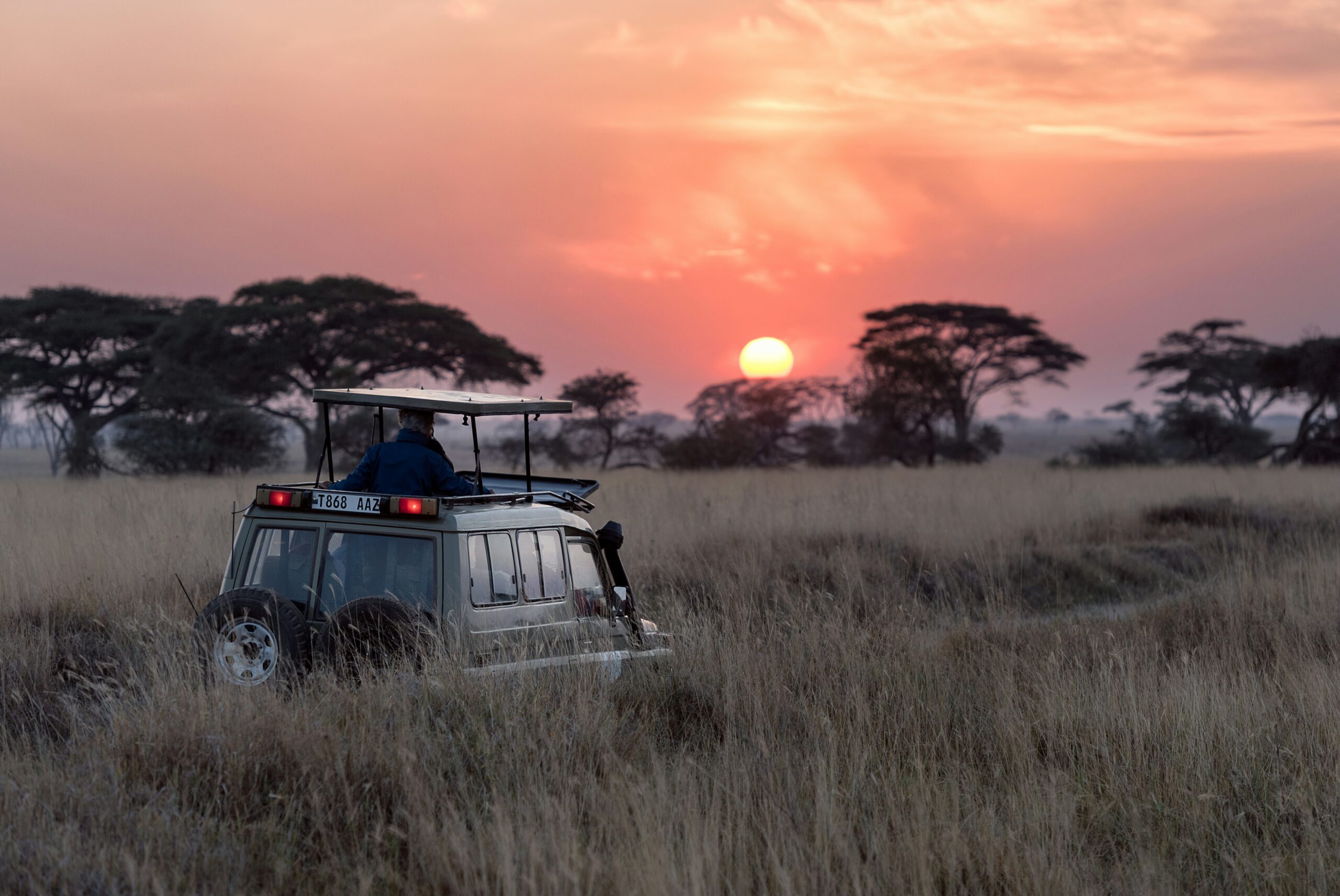 Luxury Safaris