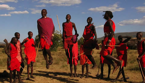 STANDARD SAFARIS