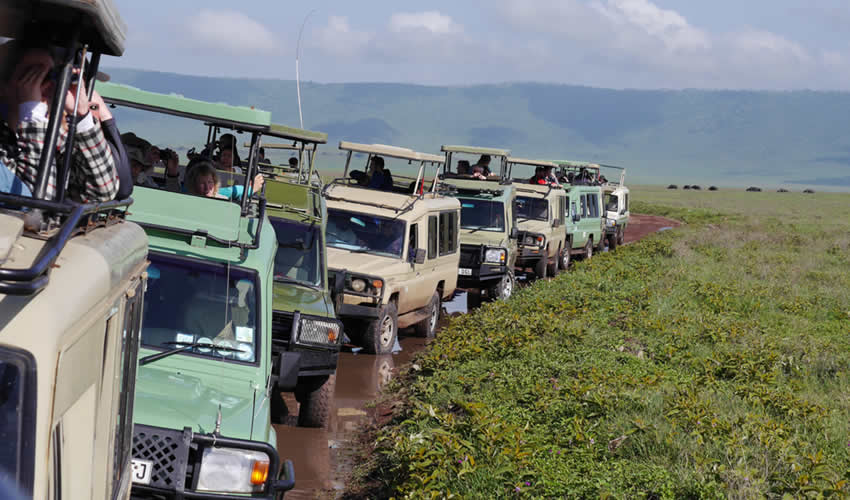 12 days gorilla trekking with Masai mara and Zanzibar