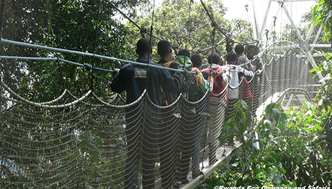 14 Days Rwanda Uganda Primate and Wildlife Adventure Safari
