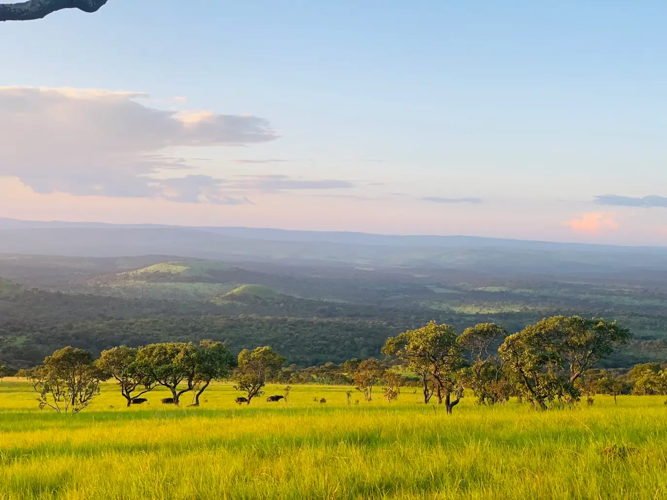 18 Day Rwanda, Uganda, Congo, Burundi, and Tanzania