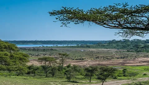 3 Days Serengeti Adventure Safari