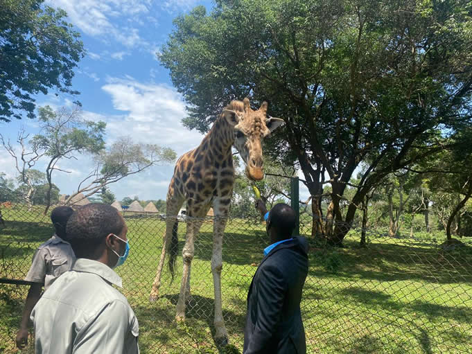 1 Day Uganda Wildlife Education Center Visit