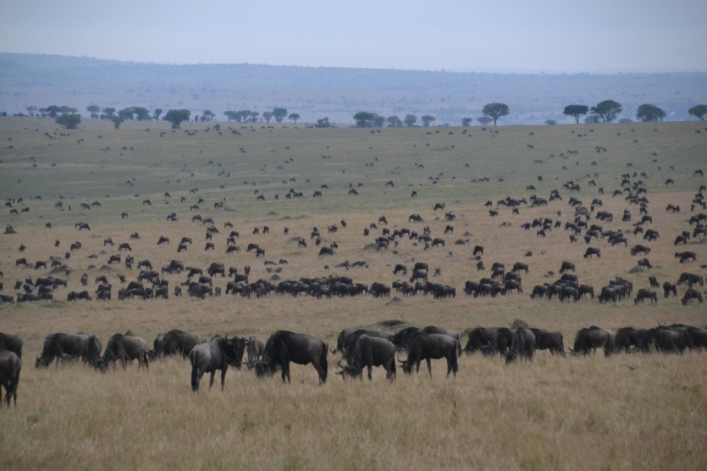 5 Nights 6 Days Great Rift Valley Safari