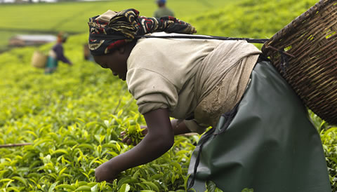 8 Days Rwanda Cultural Tour
