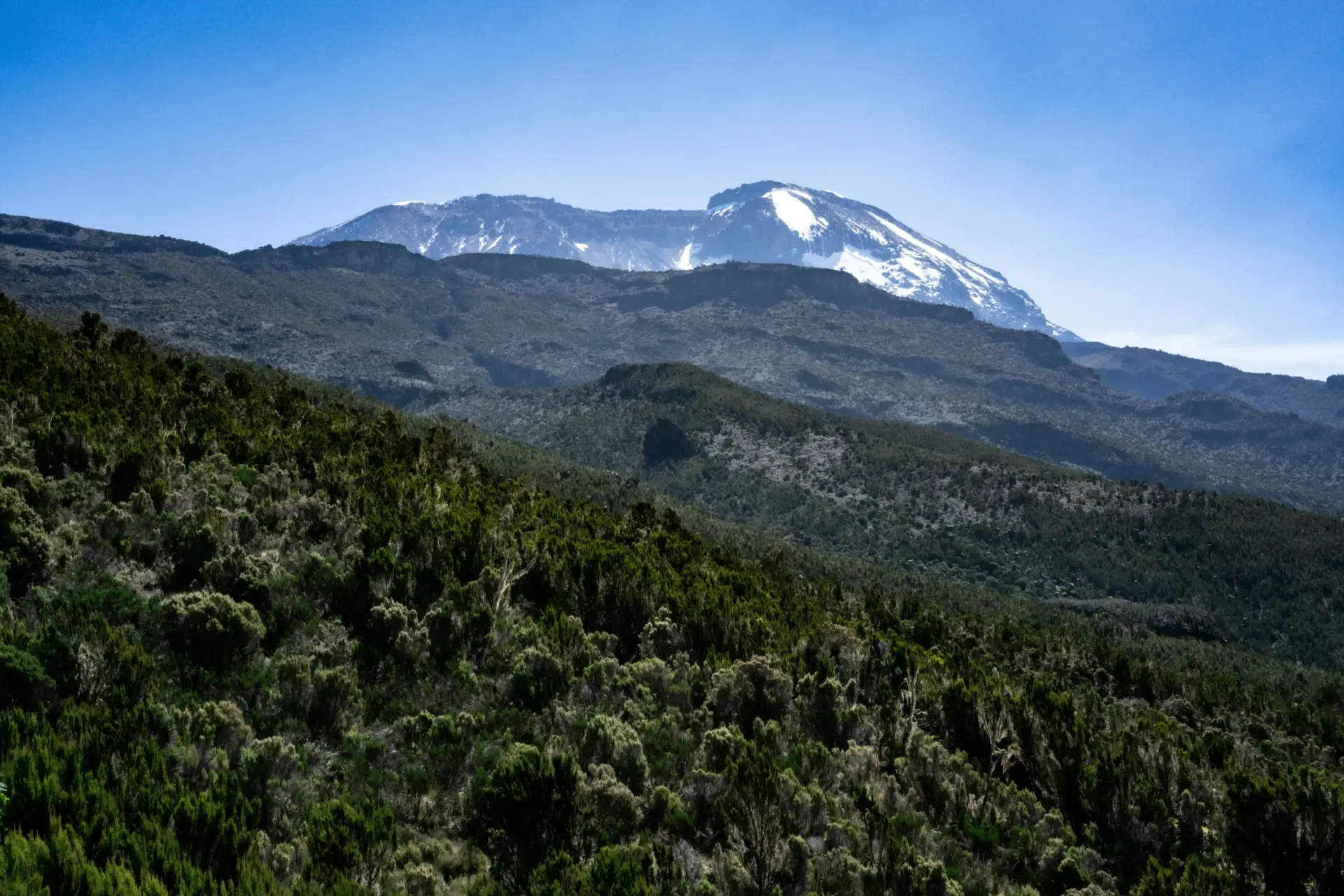 18 Day Kilimanjaro Hike, Tanzania Wildlife Safari, and Zanzibar