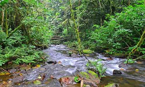 9 Days Rwanda, Uganda, DR Congo and Burundi