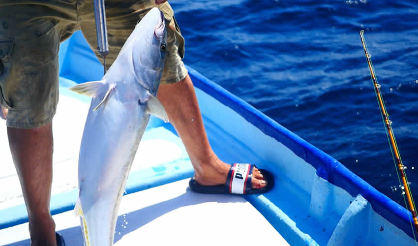 4 Days Fishing and Wildlife Adventure Safari in Uganda