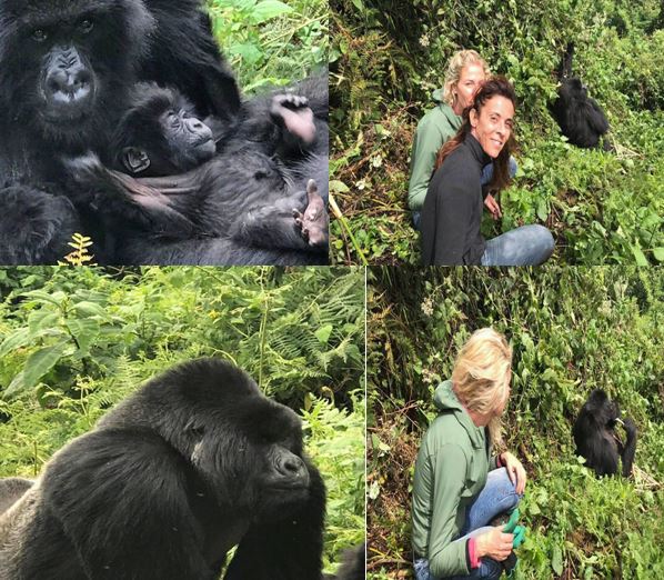 3 Days 2 Nights Rwanda Uganda Gorilla Trekking Safari