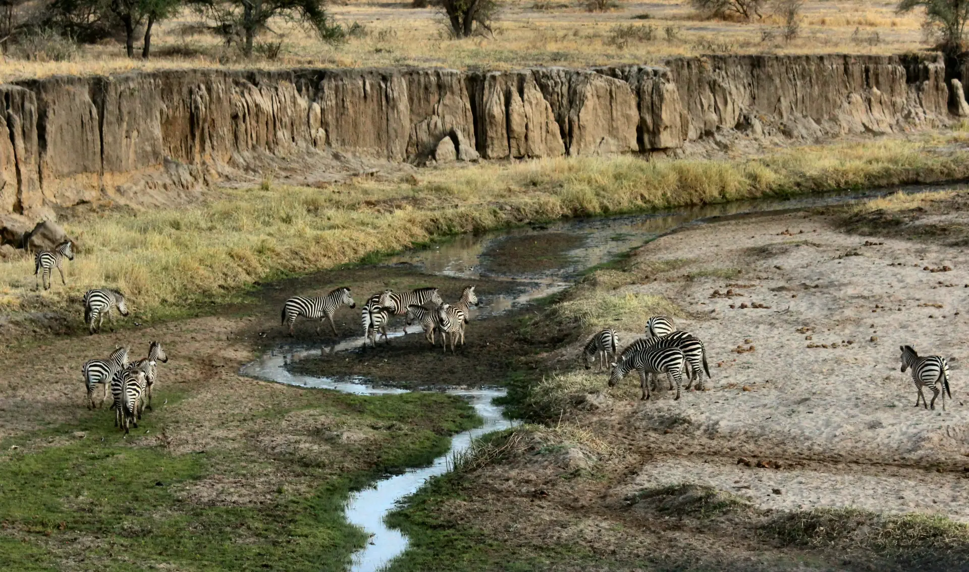 7 Day Tanzania Safari and Cultural Adventure