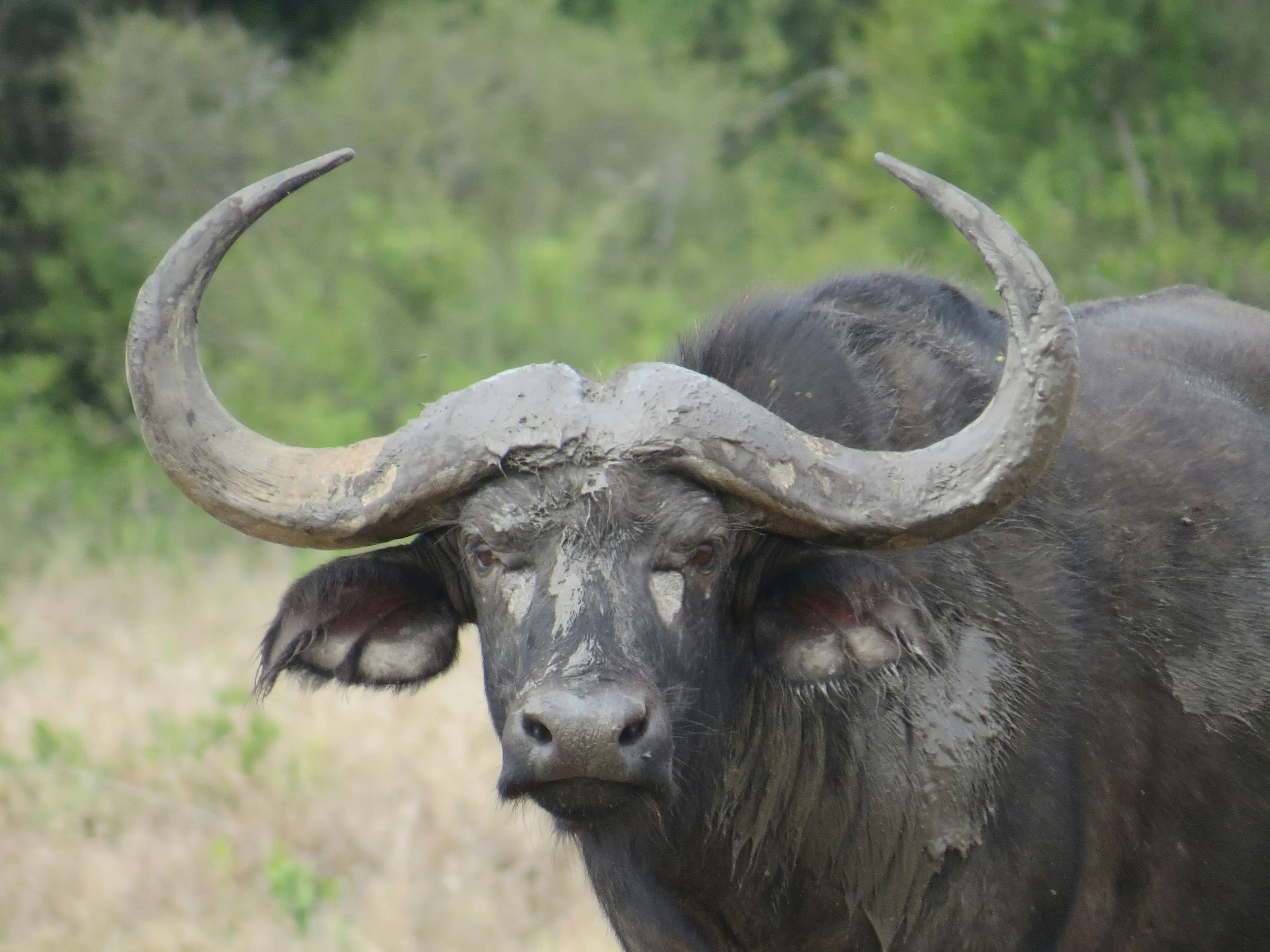 9 Days Epic Magical Kenya Safari
