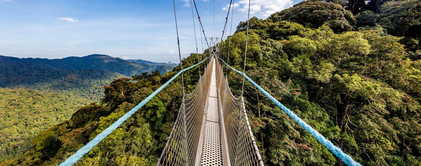Nyungwe Forest National Park, Rwanda