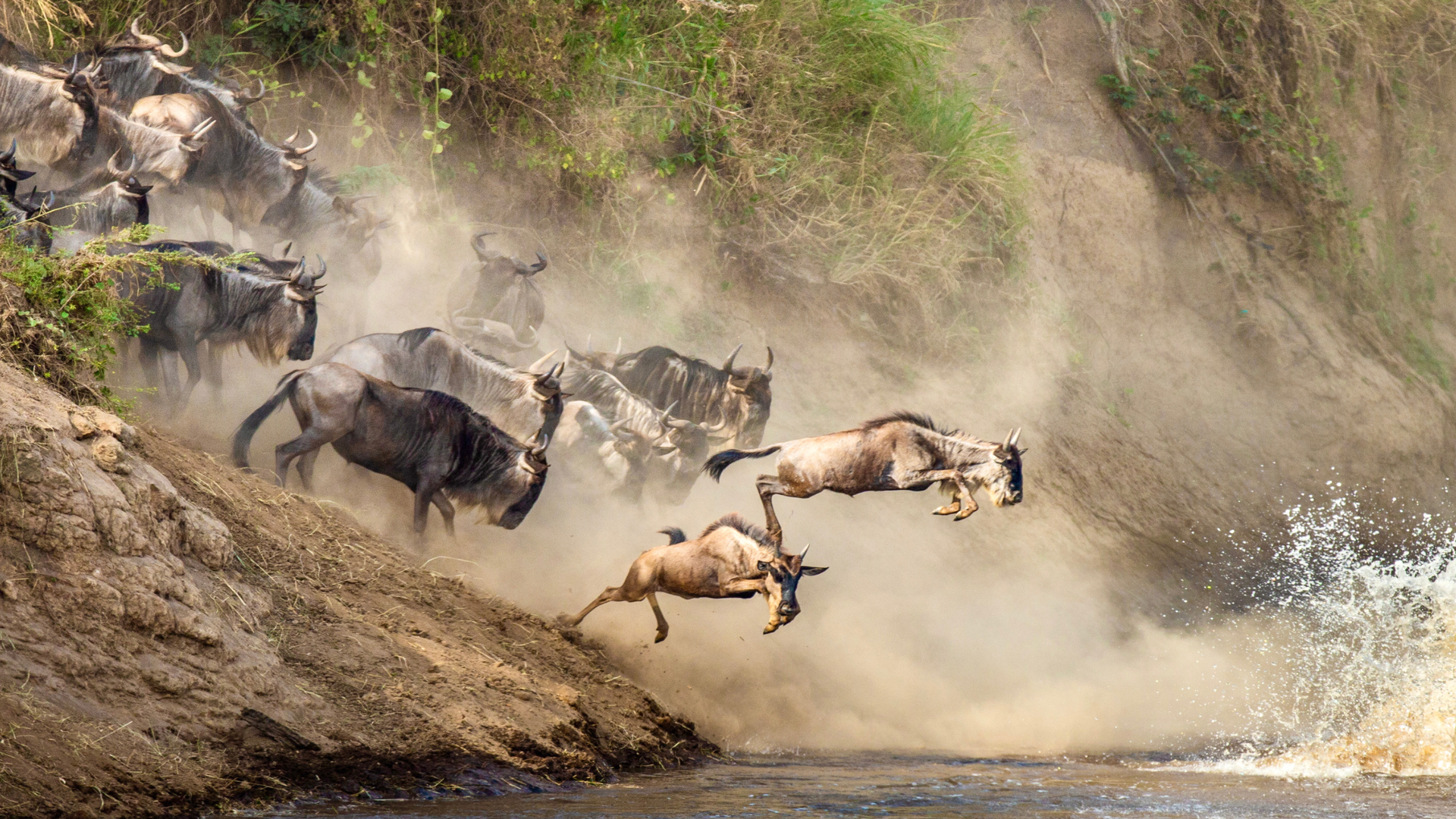 10 Days Kenya and Tanzania Wildebeest Migration