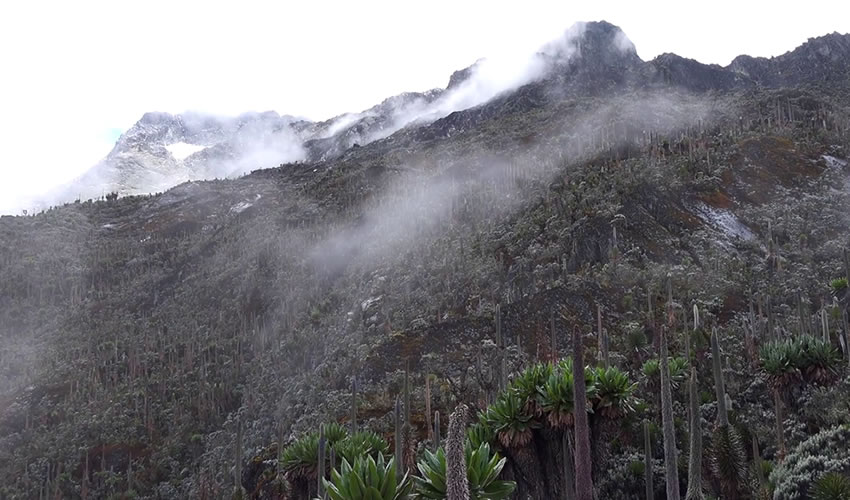 15 Days Mount Rwenzori – Gorilla and Nyiragongo