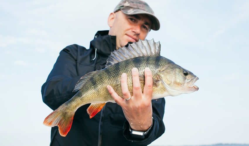 7 Days Fishing and Wildlife Adventure Safari in Uganda