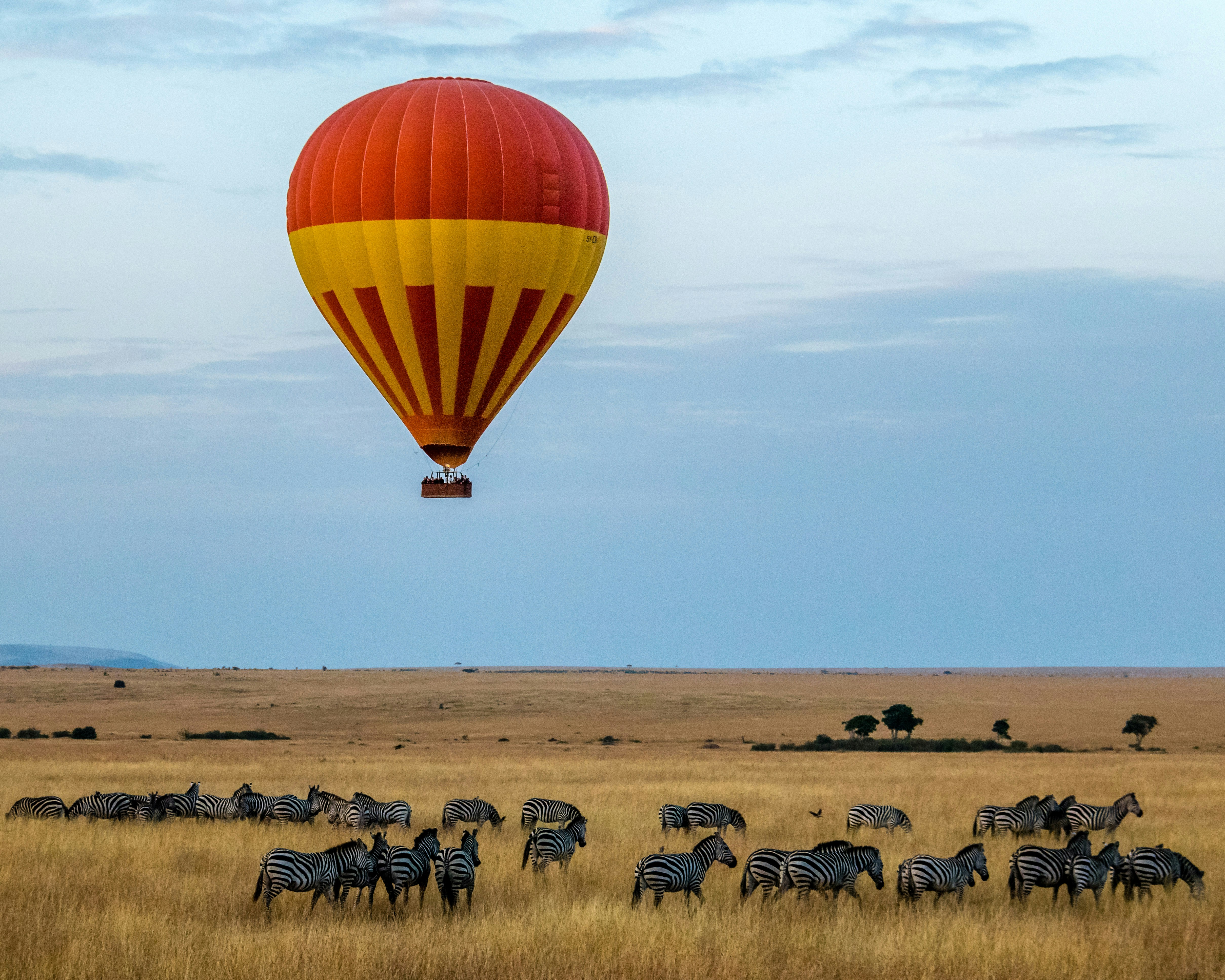 12 Days Flying Rwanda Gorilla & Tanzania Wildebeest Migration Safari