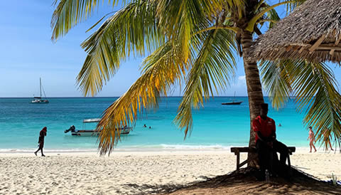 17 Days Migration, Primates & Beach Adventure Safari