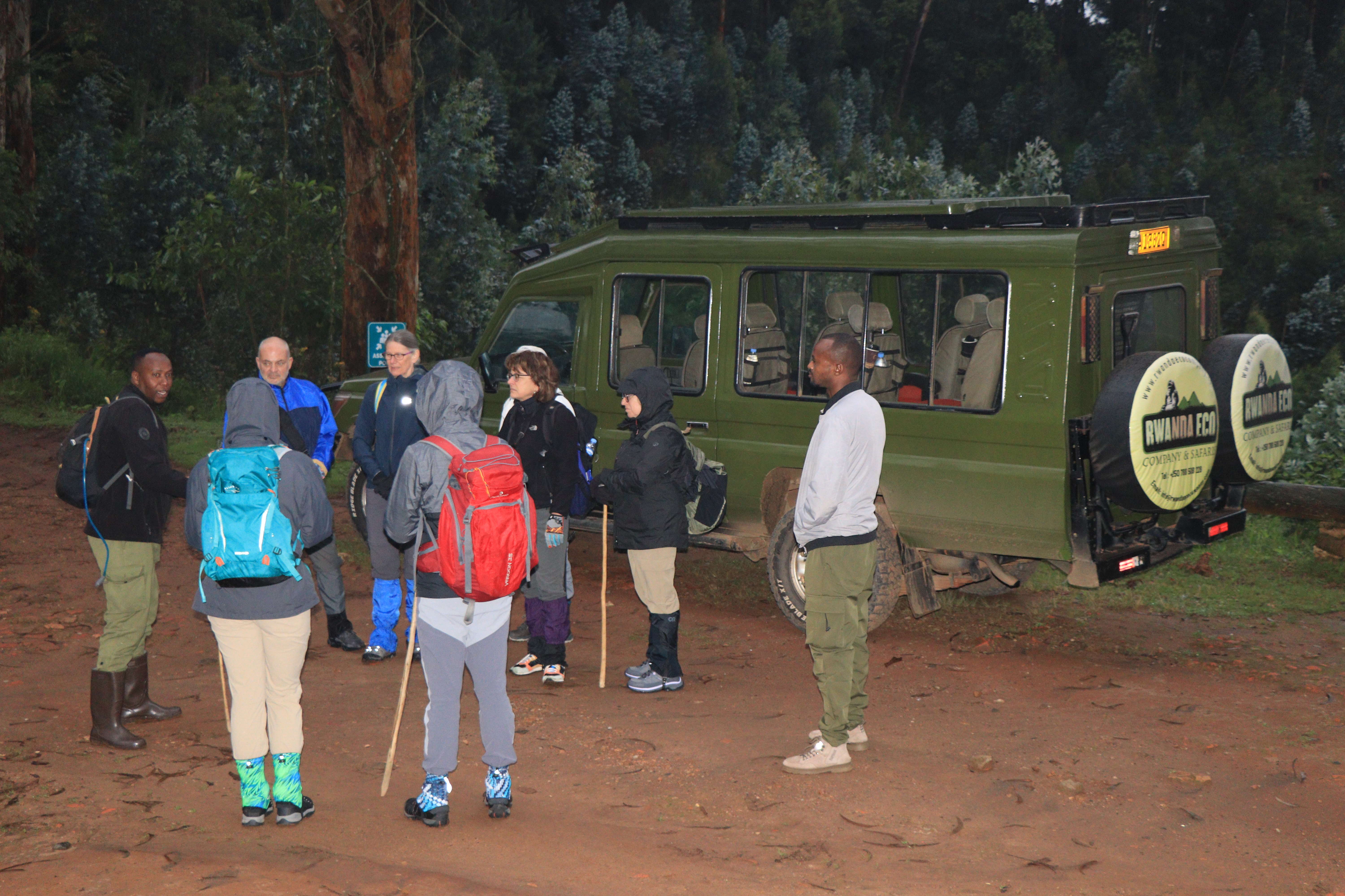 Best Gorilla Trekking Tours: Rwanda vs Uganda