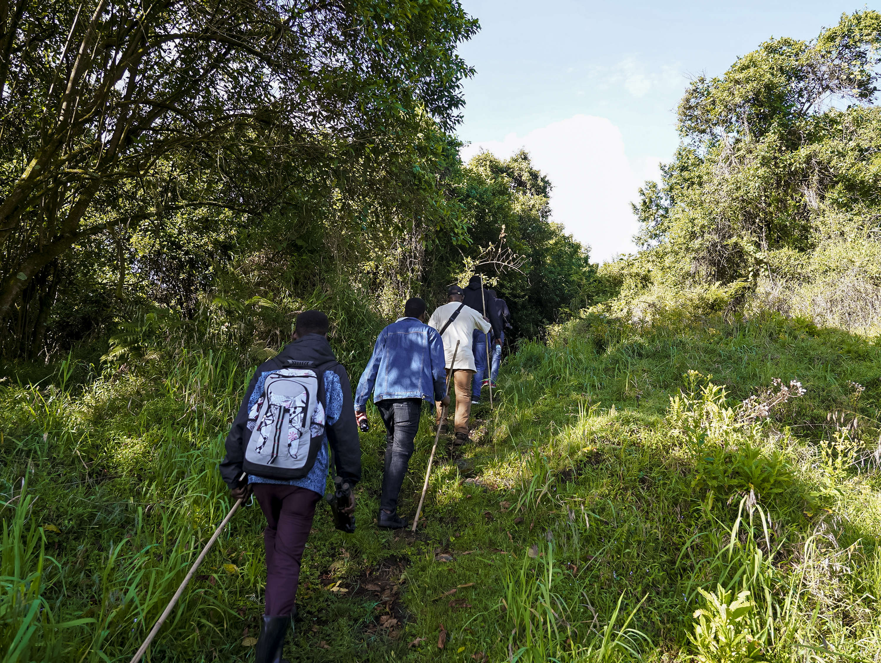 Uganda Gorilla Trekking Packages 2026: Real Prices, Real Itineraries